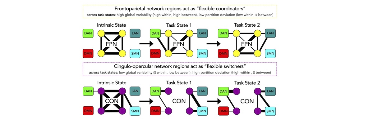 Cocuzza, et al. (2020); Journal of Neuroscience