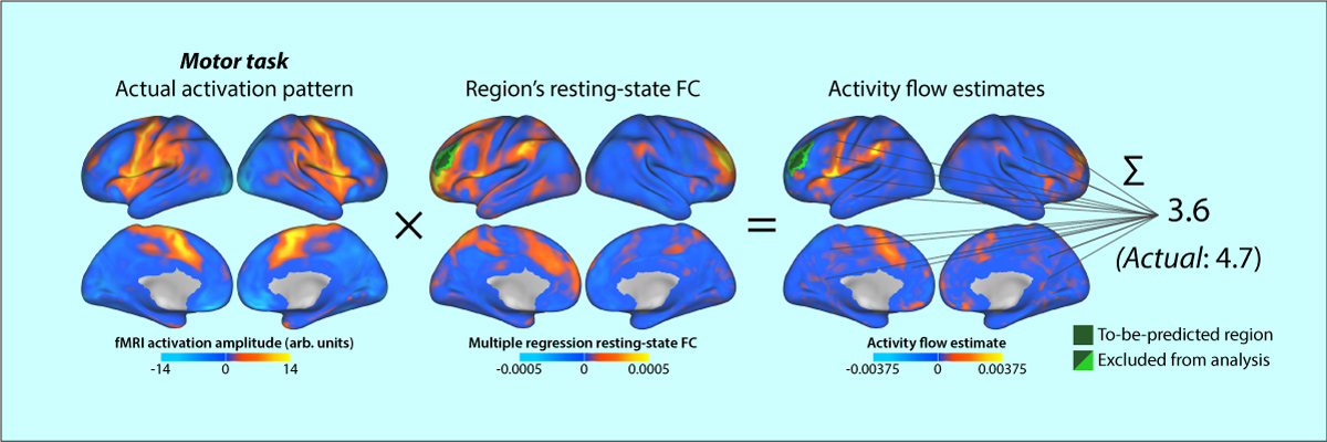 Cole, et al. (2016); Nature Neuroscience