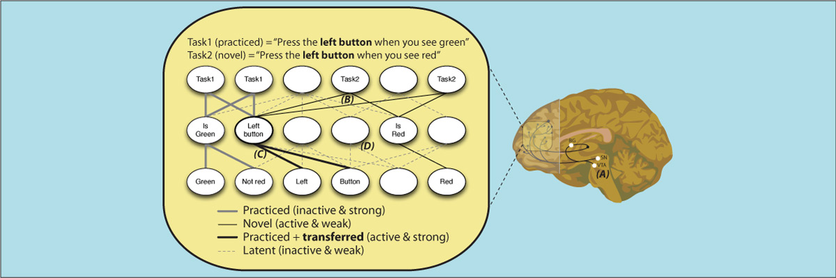 Cole, et al. (2013); CABN