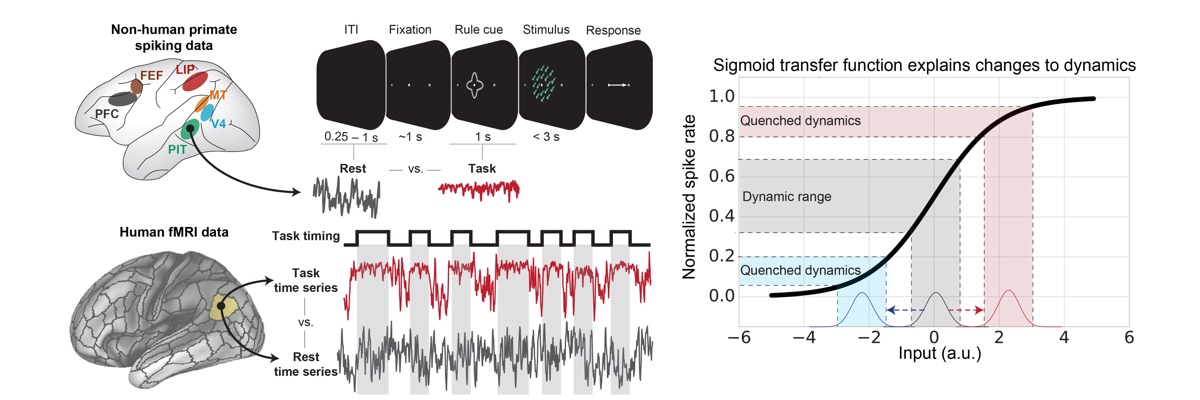 Ito, et al. (2020); PLOS Computational Biology