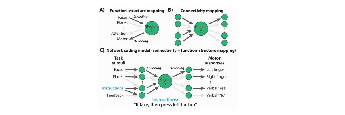 Ito, et al. (2020); CellPress