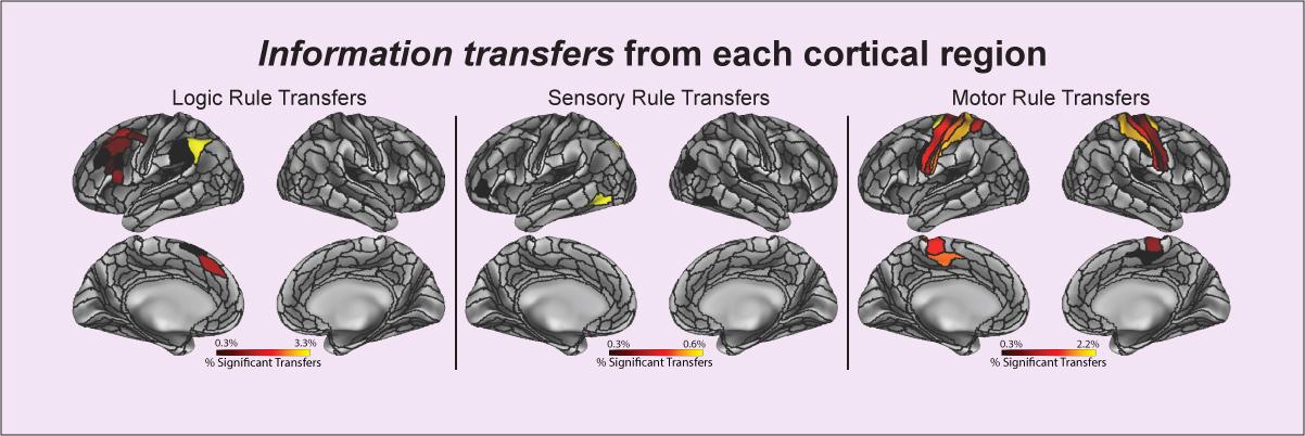 Ito, et al. (2017); Nature Communications