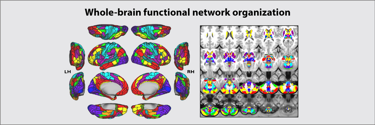 Ji, Spronk, et al. (2019); NeuroImage