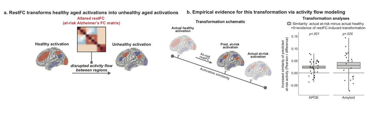 Mill, et al. (2020); NeuroImage