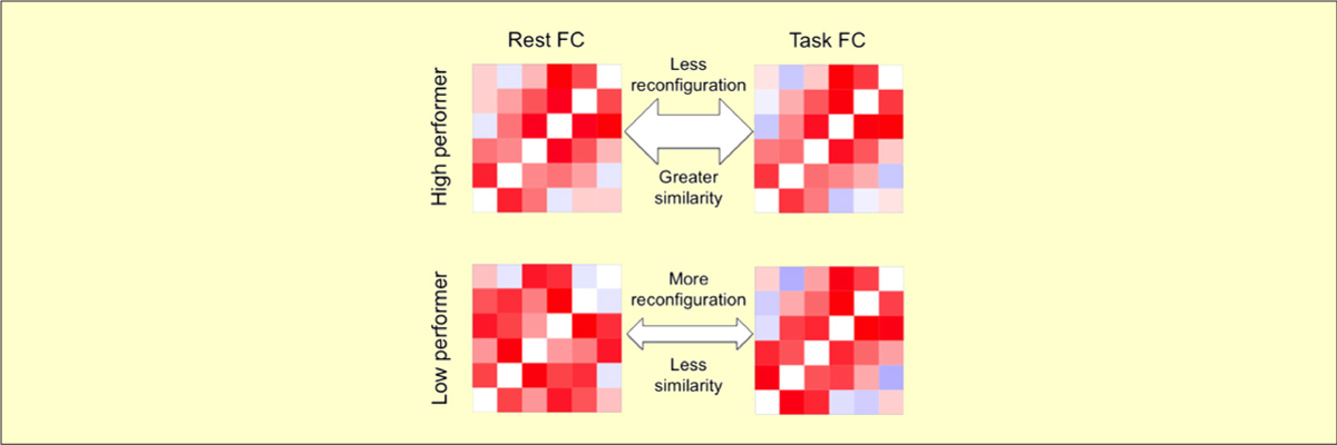 Schultz, et al. (2016); Journal of Neuroscience