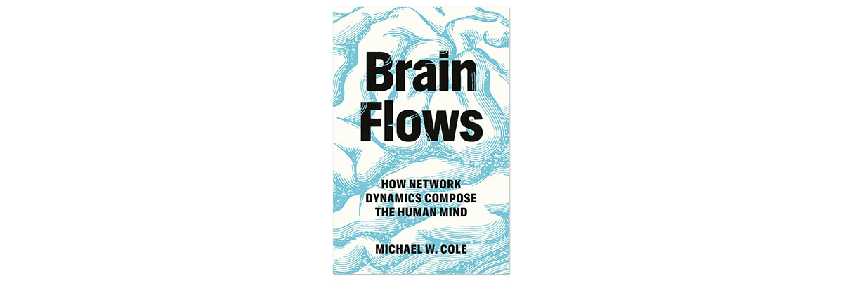 Brain Flows book cover